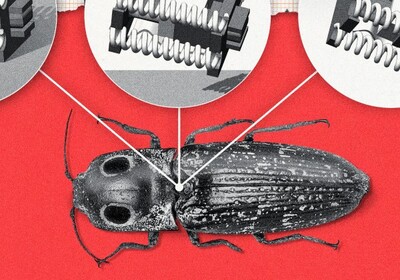 Cockroach with diagram arrows pointing to robotics