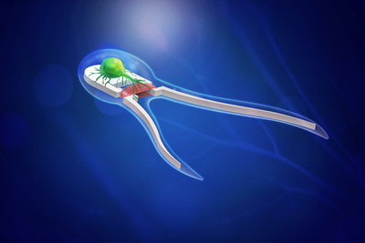 artist rendering of biobot