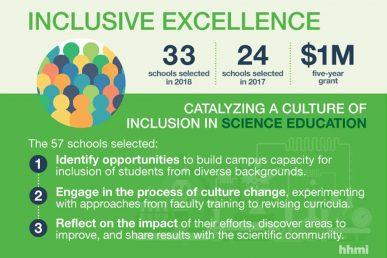 inclusive excellence summary