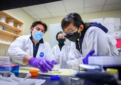 three researchers in a laboratory setting