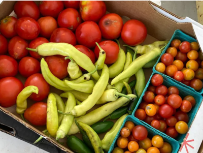 basket of farm-fresh vegetables