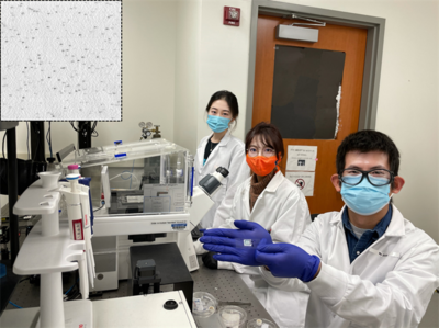 research team in the lab