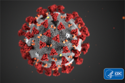 CDC coronavirus up close image