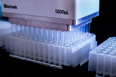 COVID test processing in lab