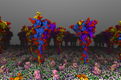colorful image of spike protein molecules